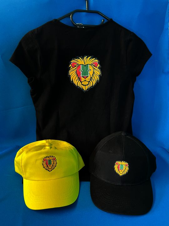 Casquettes et T-shirt DTF